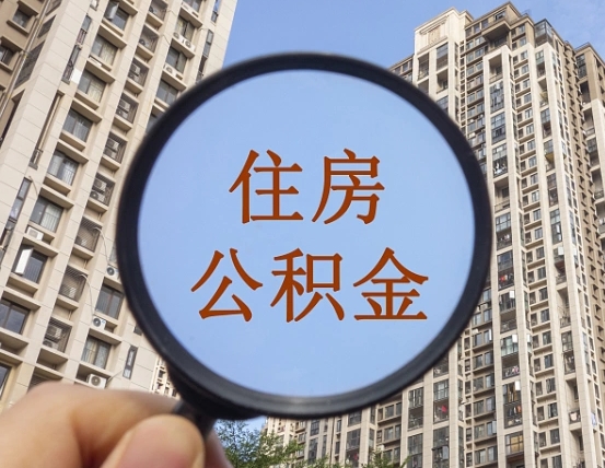 临清不小心把公积金提出来了（公积金误提了怎么办）